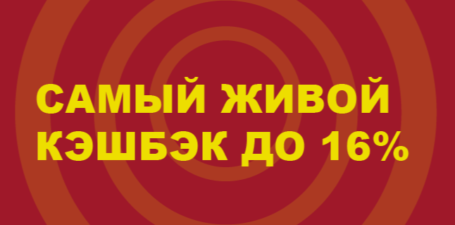 Акция Тенниси «Самый живой кэшбэк» – бонус 16% за Программа лояльности Сентябрь 2026