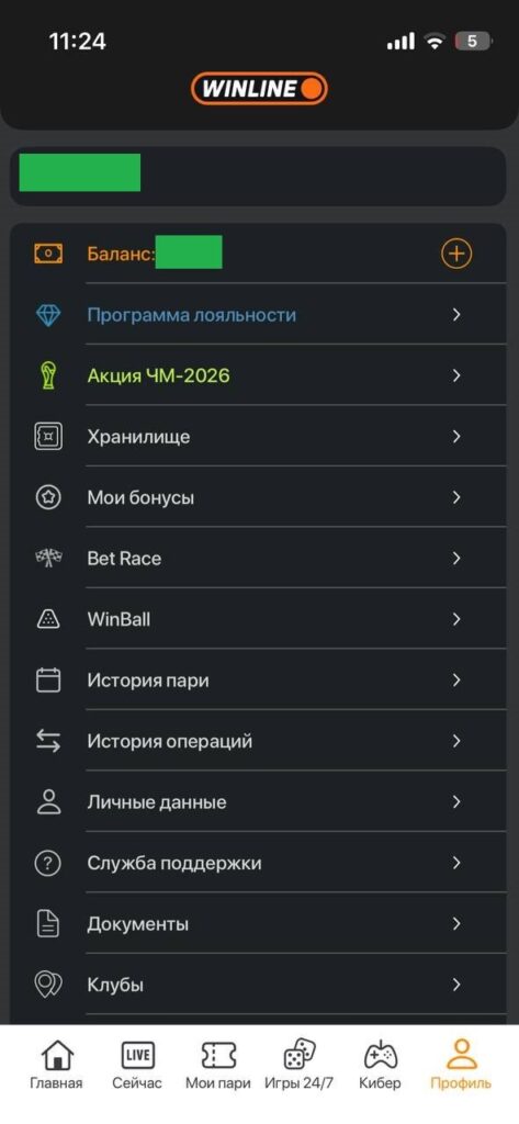 Профиль пользователя в личном кабинете Winline