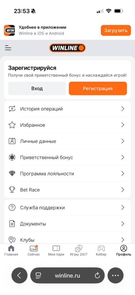 Возможности внутри личного кабинета Винлайн